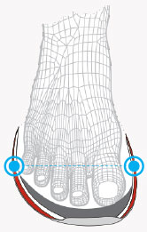 Foot Shape Toe Box
